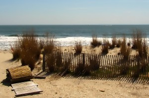 Coastal Atlantic Beach Dunes